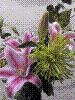 flower show2004 007.jpg